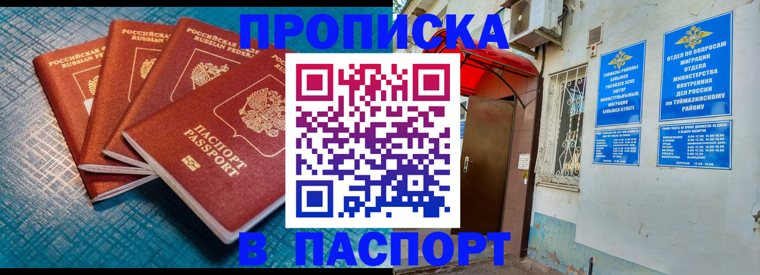 прописка иностранных граждан в Шатуре